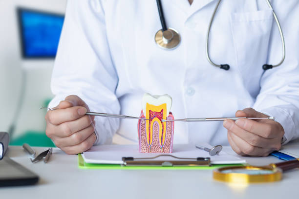 Best Dentist for Severe Toothache  in Bridgeport, MI